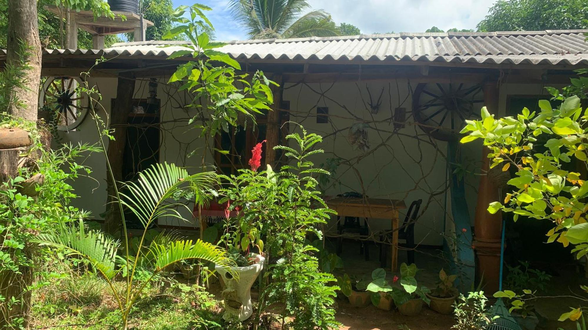 Sigiri Birds Hostel Sigirija Zewnętrze zdjęcie
